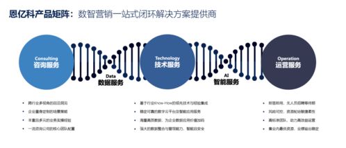 咨詢賦能，技術(shù)破局 營(yíng)銷數(shù)字化轉(zhuǎn)型中的價(jià)值躍升之道