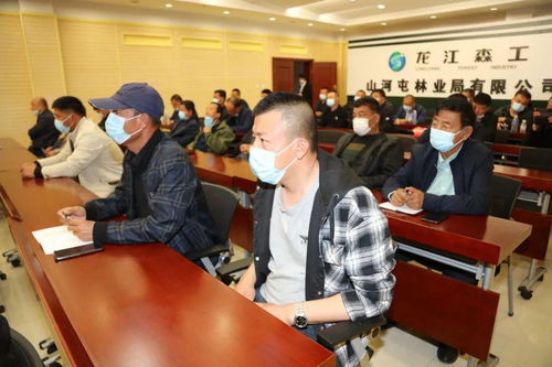 龍江森工眾創集團 以科技服務賦能林區，信息技術咨詢服務助力綠色轉型