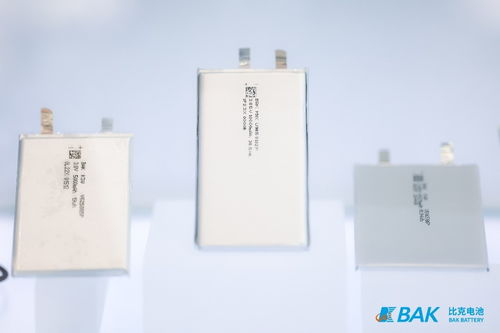比克電池強(qiáng)勢(shì)登陸CIBF 2023 四大產(chǎn)品線聯(lián)袂登場(chǎng)，彰顯技術(shù)領(lǐng)導(dǎo)力
